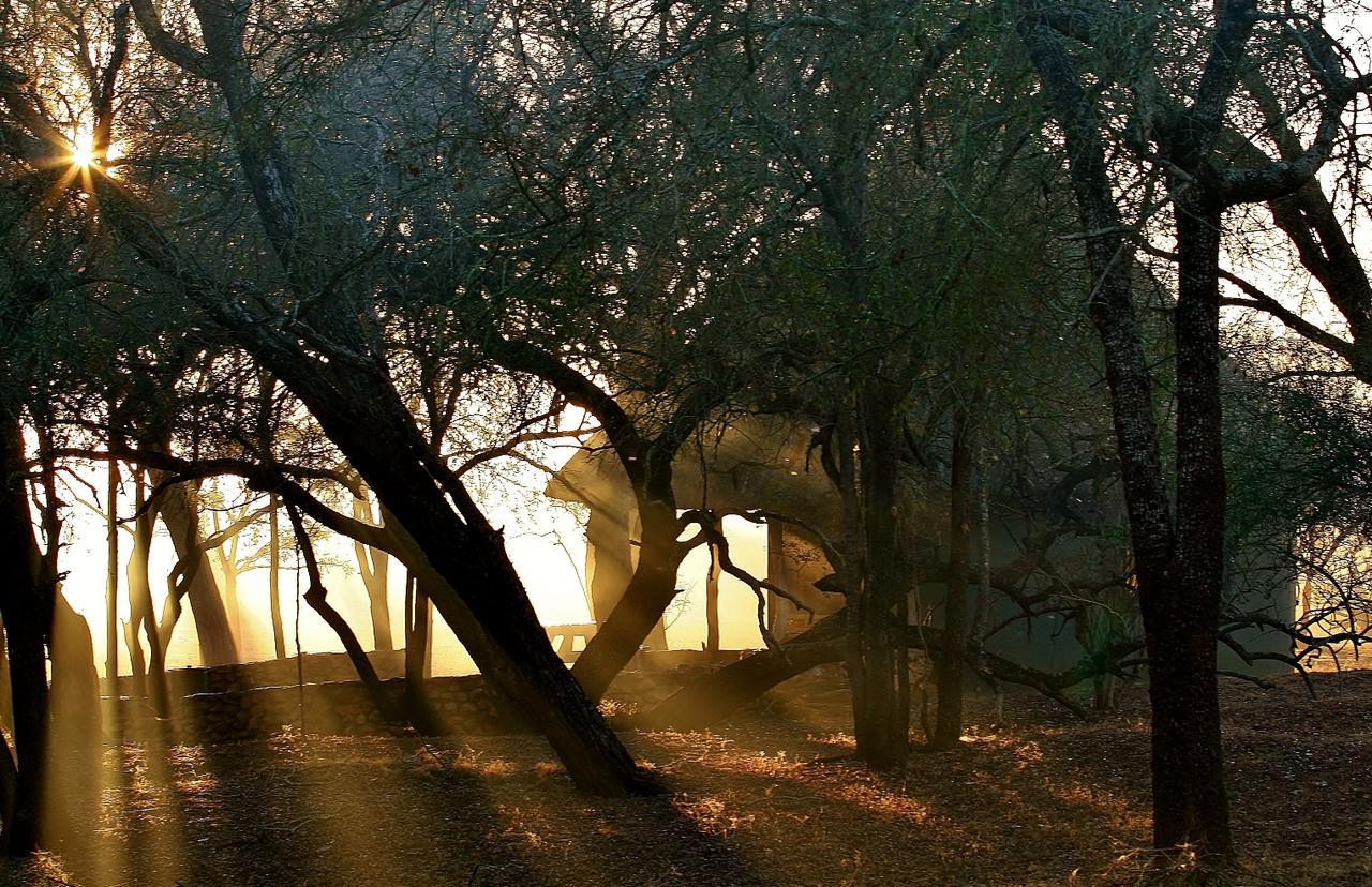 فيلا Hlane Royal National Park Simunye المظهر الخارجي الصورة
